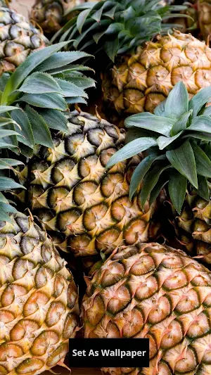 Pineapple wallpaper Screenshot 2