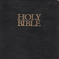 Simple Bible (KJV, NIV, NLT)