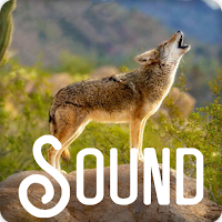 Coyote Soundboard Ringtones
