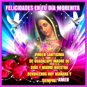 Virgen de Guadalupe Frases Screenshot 3