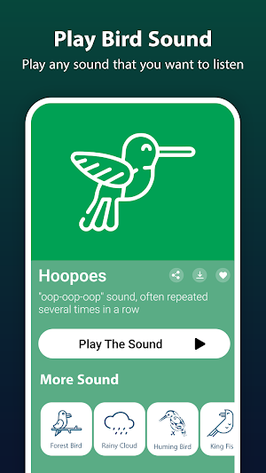 Bird Ringtone: Bird Sound Screenshot 2