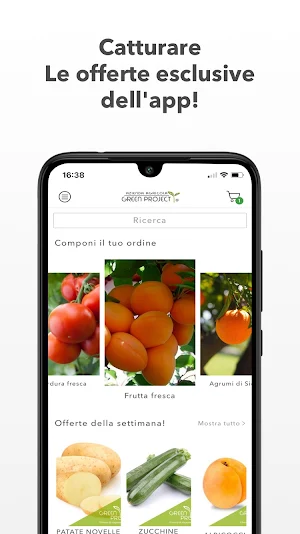 Green Project Screenshot 0