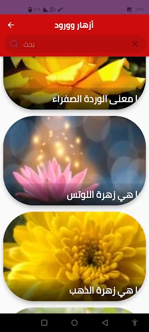 أزهار وورود Screenshot 2