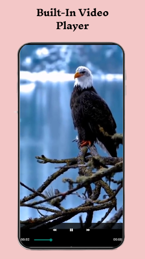 Video Downloader for Twitter Screenshot 2