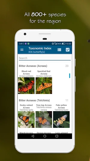 Woodhall's Butterflies RSA Screenshot 1