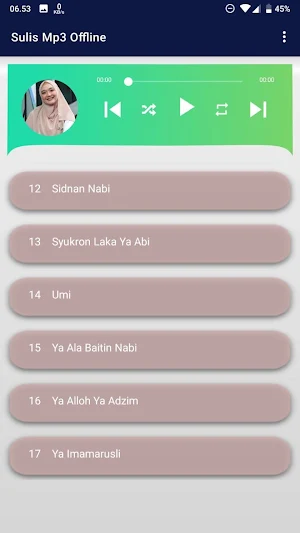 Sulis Mp3 Offline Screenshot 0