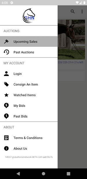 GHN Online Sales Screenshot 3