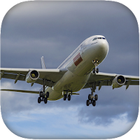 Flight Simulator Airplane
