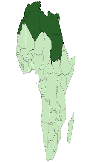 North Africa Screenshot 0