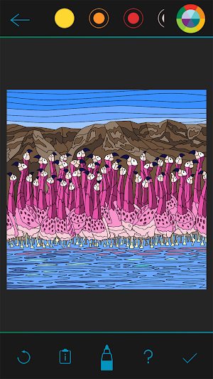 BBC Earth Colouring Screenshot 3