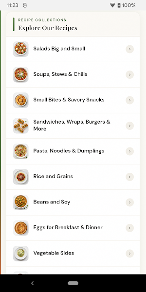 Complete Vegetarian Cookbook Screenshot 2