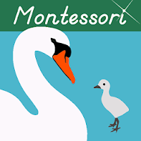 Montessori Vocabulary - Baby Animal Names