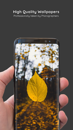 Autumn Wallpapers 8K ULTRA Screenshot 1