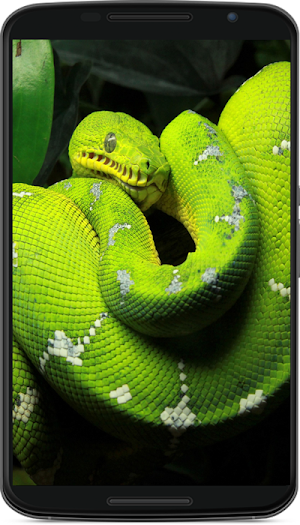 snake wallpaper Screenshot 2