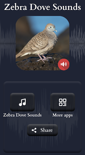 Zebra Dove Sounds Screenshot 1