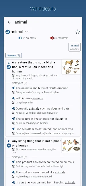 English-Turkish Dictionary Pro Screenshot 0