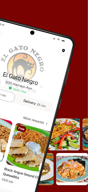 El Gato Negro Screenshot 1
