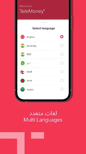 TeleMoney Screenshot 2