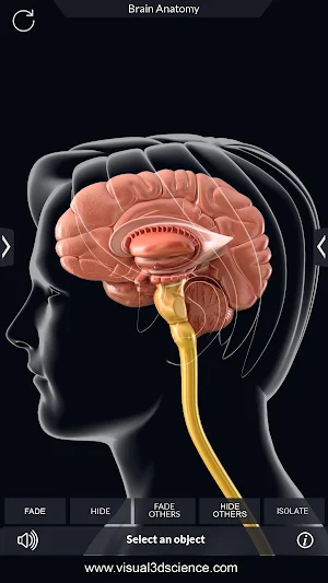 Brain Anatomy Pro. Screenshot 2