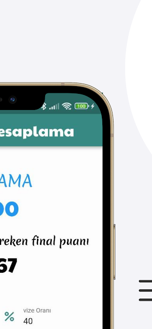 Vize Final Hesaplama Screenshot 1