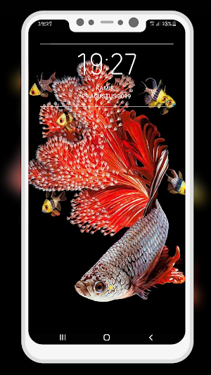 Betta Fish Wallpapers Screenshot 3