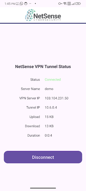 NetSense VPN Client Screenshot 0