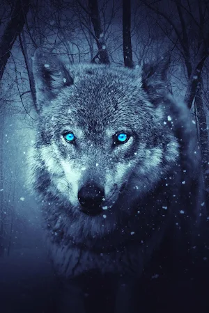 Wolf Wallpaper HD : backgrounds & themes Screenshot 0