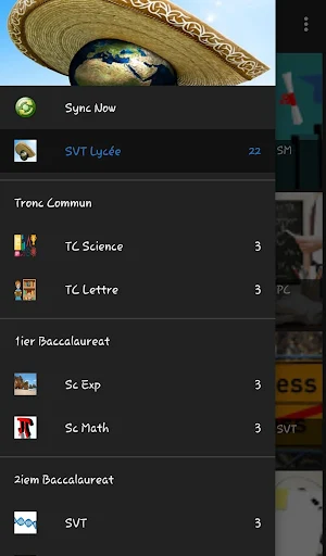 SVT Lycee Français Screenshot 2