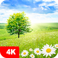 Nature Wallpapers 4K