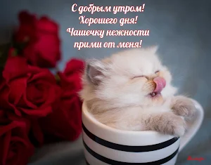 Прикольные с добрым утром Screenshot 1
