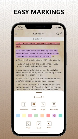 La Bible Louis Segond, LSV Pro Screenshot 1