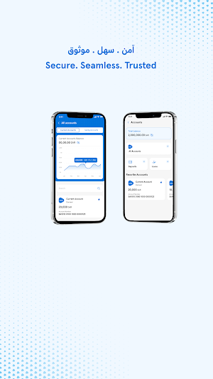 anb Business Screenshot 2