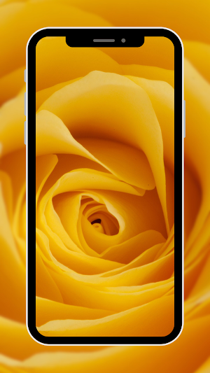 Flower Wallpaper Screenshot 2