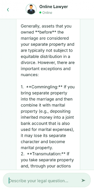 Online Lawyer Screenshot 3