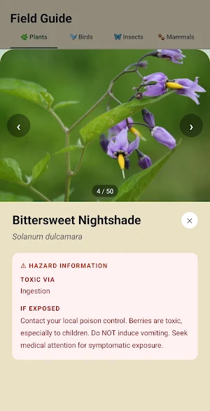 Camp-Ade: Offline Camping App Screenshot 2