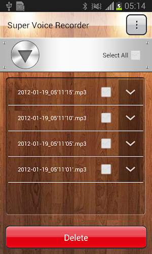 Voice Recorder Screenshot 1