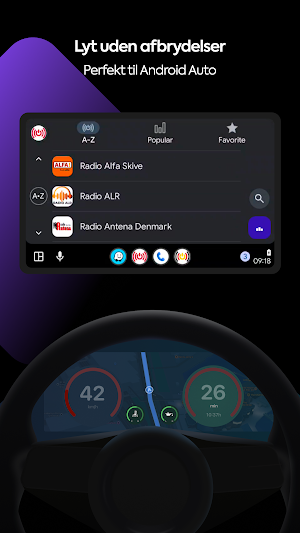 Radio DK: Danske radioer Screenshot 2