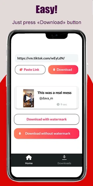 SSSTik video downloader for TT Screenshot 0