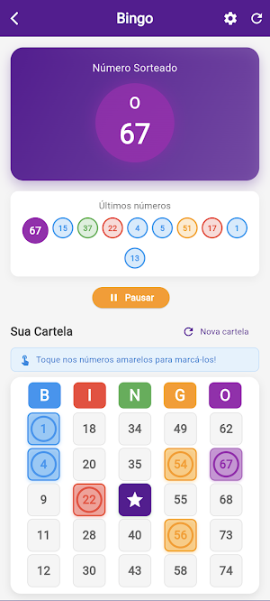 Sorte no Bingo Screenshot 3