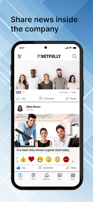 Netfully Screenshot 3