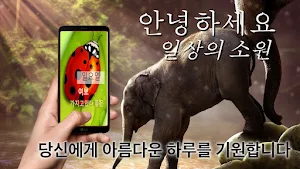 Korean Good Morning Everyday Screenshot 1