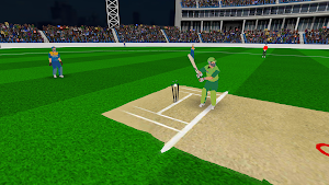 Real World Cricket T10 Games Screenshot 3