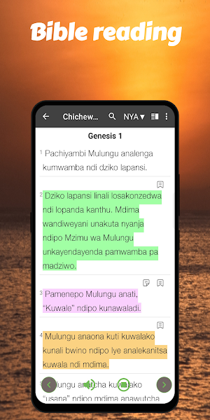 Chichewa Bible OFFLINE+KJV+NIV Screenshot 0