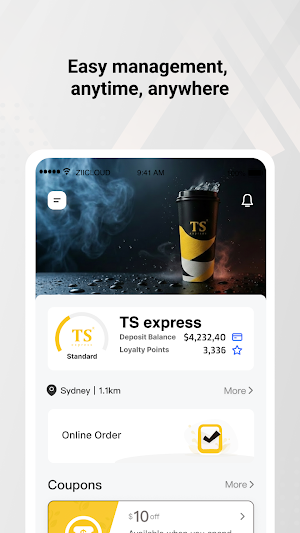 TS Express Screenshot 0