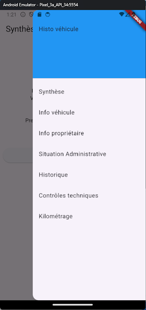 Historique Véhicule Screenshot 2
