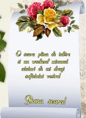Bună Seara Screenshot 0