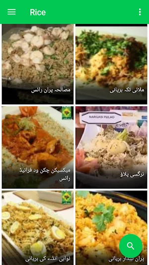 Pulao Recipes In Urdu Screenshot 1