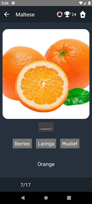 Maltese Language Tests Screenshot 3