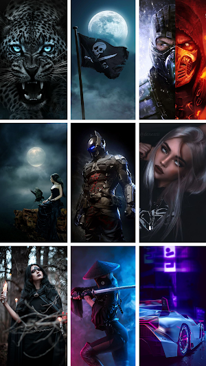 Live Video Wallpapers Maker Screenshot 2