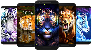 Tiger Wallpaper HD Screenshot 3